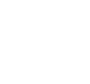 VS Horizon FZ LLC