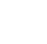 VS Horizon FZ LLC