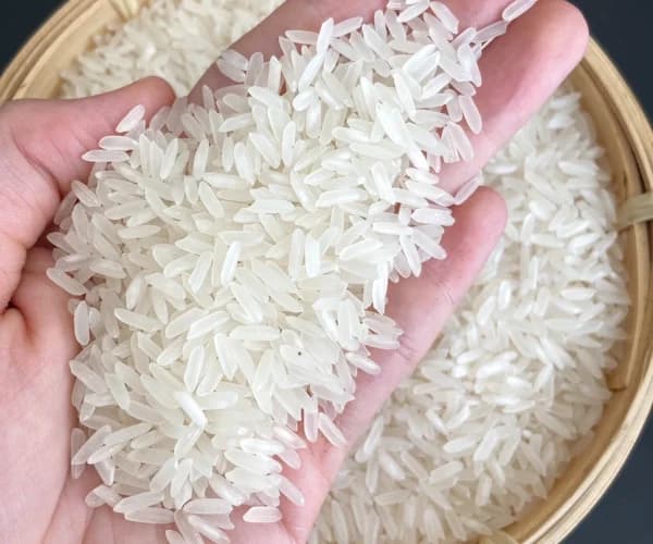 Fragrant Rice