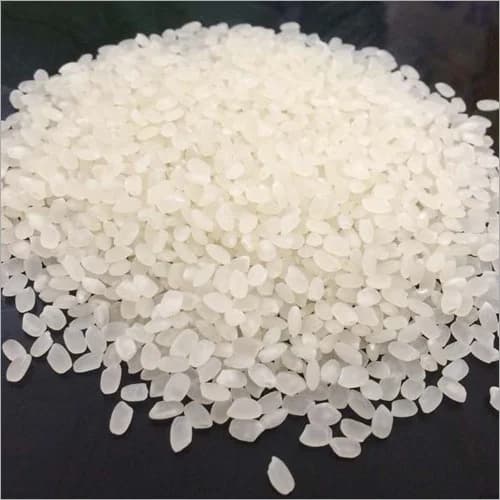 Japonica Rice