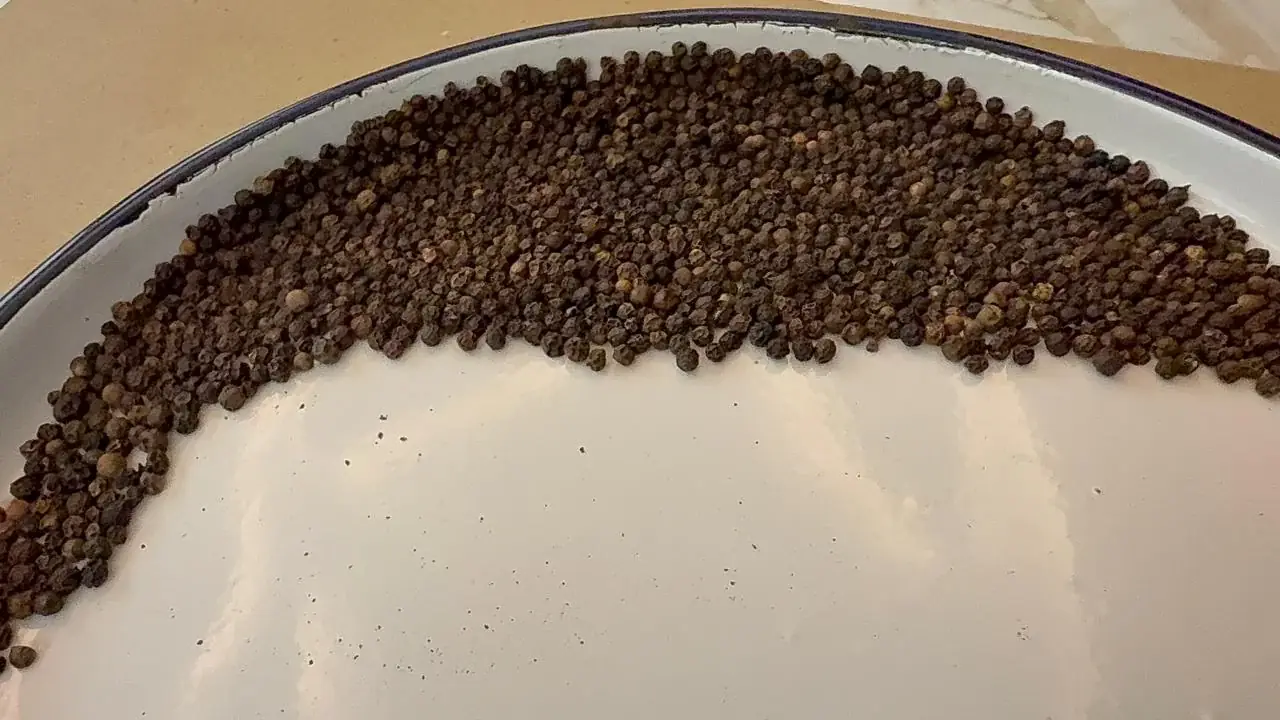 500+ GL Machine Clean Black Pepper