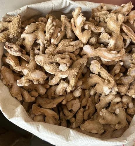 Dried Ginger