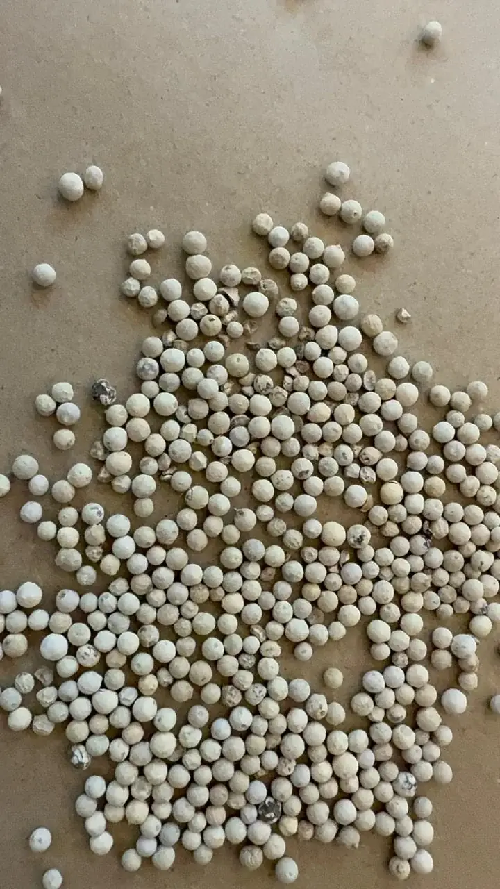 White Pepper